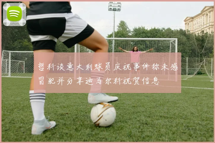 哲科谈意大利球员庆祝事件称未感冒犯并分享迪马尔科祝贺信息